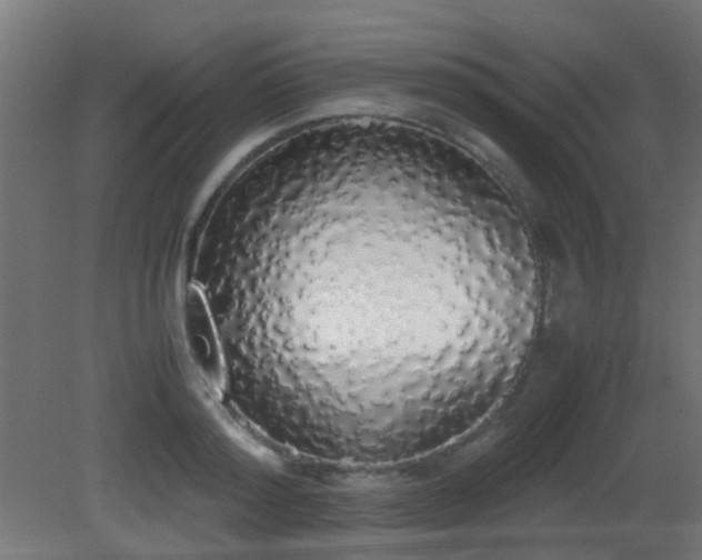 X0000081270796200701111305