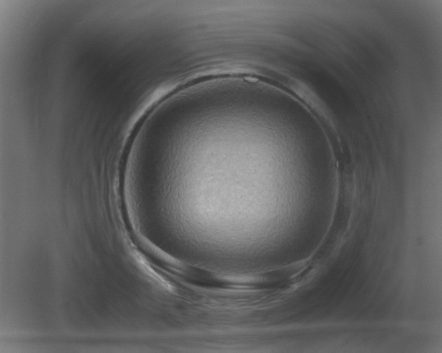 X0000081270797200701111305