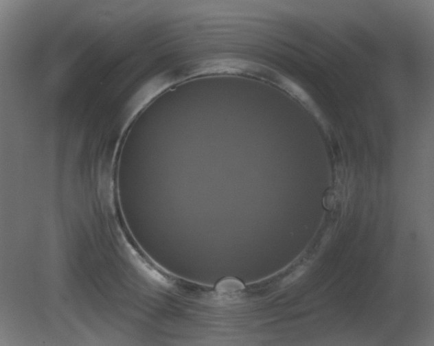 X0000081270802200701111305