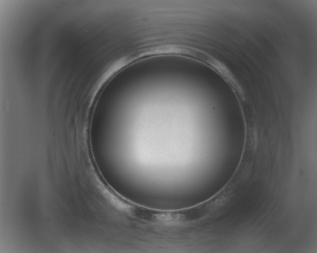 X0000081270805200701111304