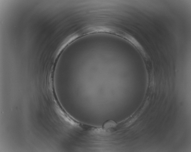 X0000081270806200701111304