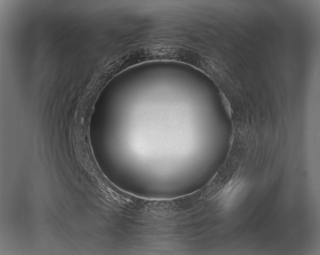 X0000081270817200701111303