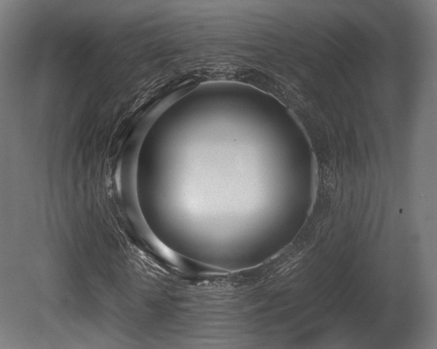 X0000081270818200701111304