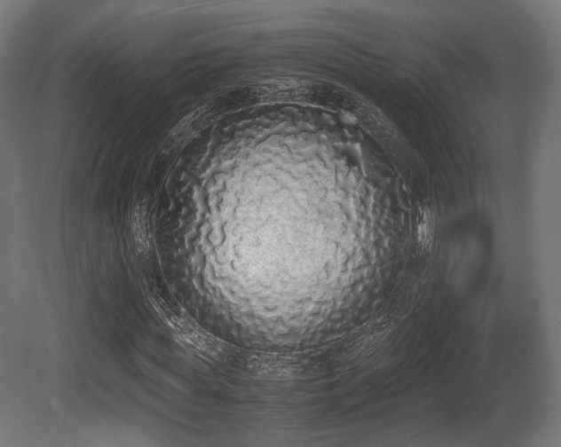 X0000081270819200701111304