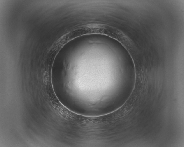 X0000081270821200701111304