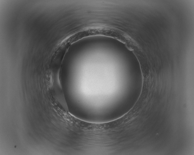 X0000081270822200701111304