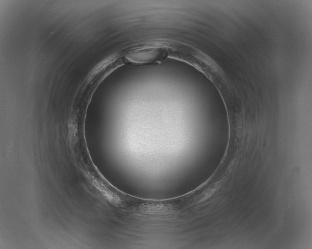 X0000081270826200701111304