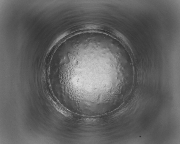 X0000081270827200701111304