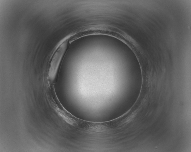 X0000081270830200701111304