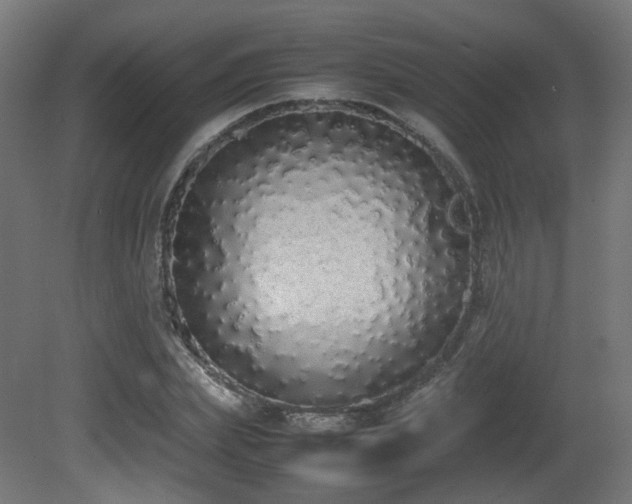 X0000081270831200701111304