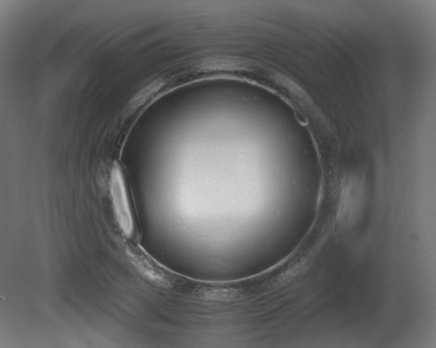 X0000081270833200701111304