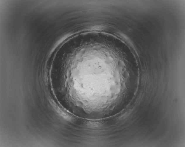 X0000081270835200701111304