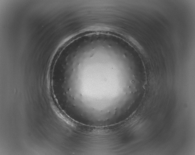 X0000081270840200701111304