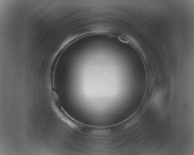 X0000081270843200701111304