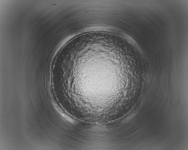 X0000081270844200701111304