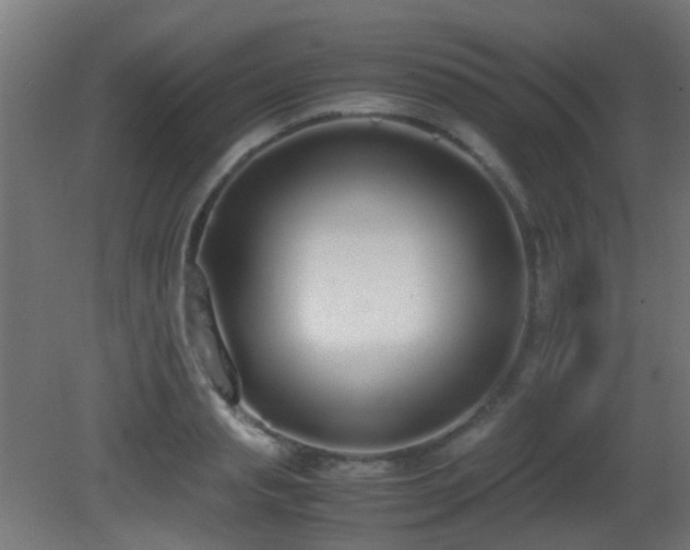 X0000081270845200701111304