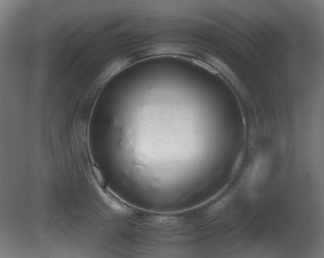 X0000081270849200701111304