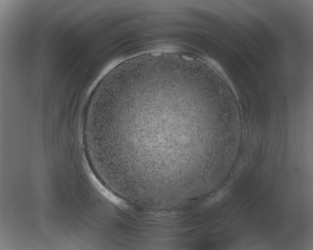 X0000081270851200701111304