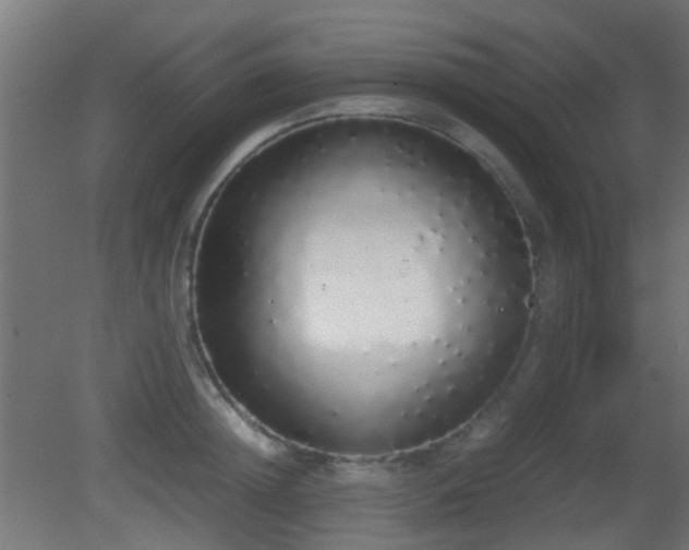 X0000081270852200701111304