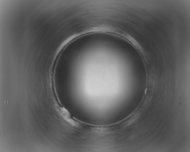 X0000081270854200701111304