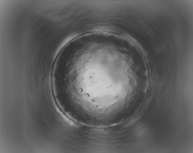 X0000081270855200701111304