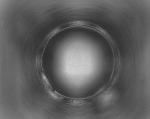 X0000081270857200701111304