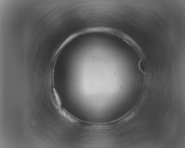 X0000081270860200701111304