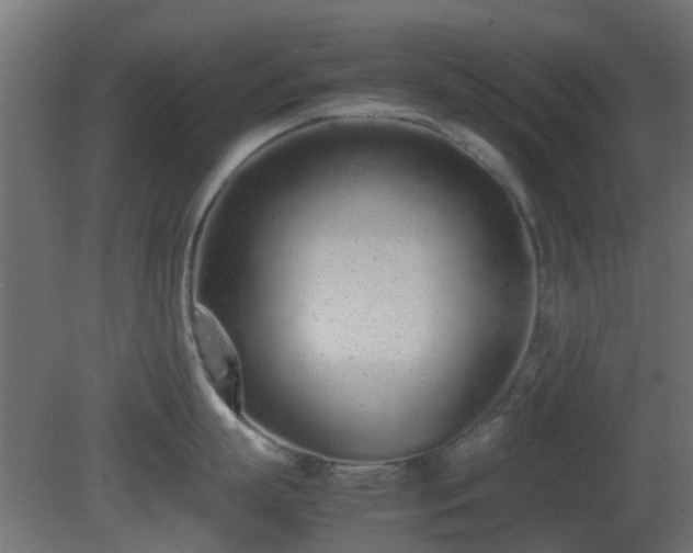 X0000081270863200701111304