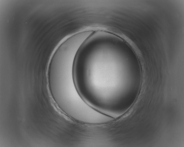 X0000081270864200701111304