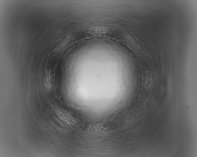 X0000081270866200701111303