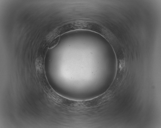 X0000081270867200701111303