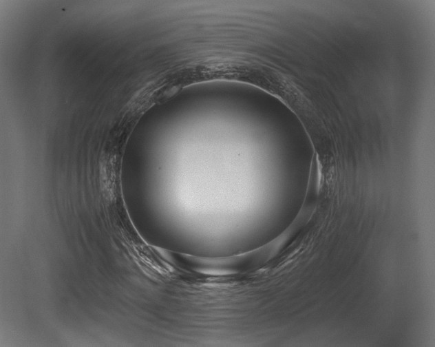 X0000081270868200701111303