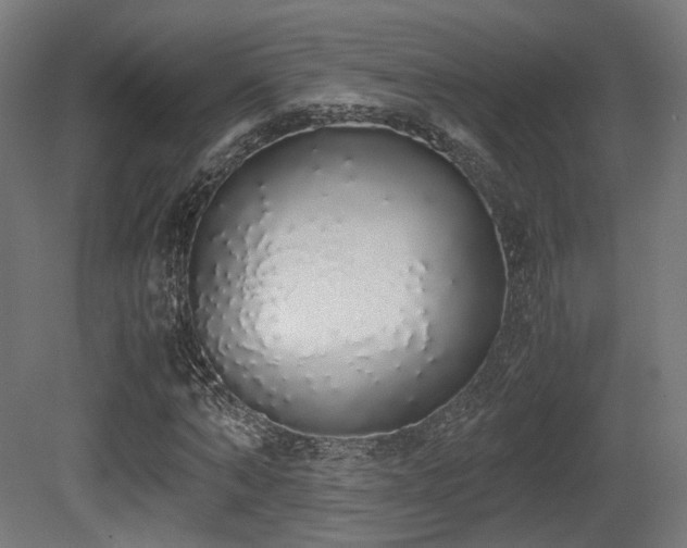 X0000081270870200701111303