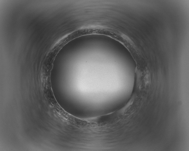 X0000081270872200701111303