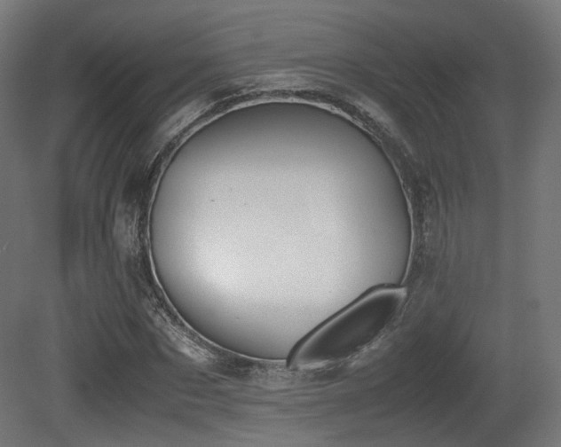X0000081270873200701111303