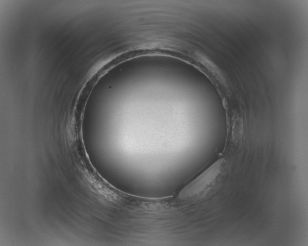 X0000081270876200701111303