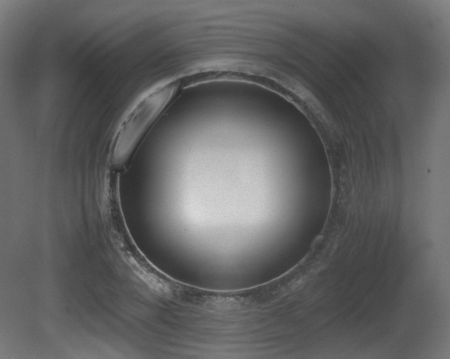 X0000081270880200701111303