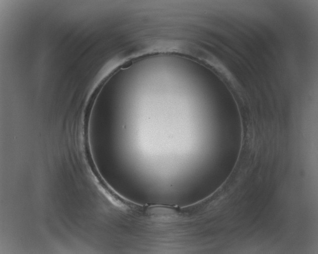 X0000081270894200701111303