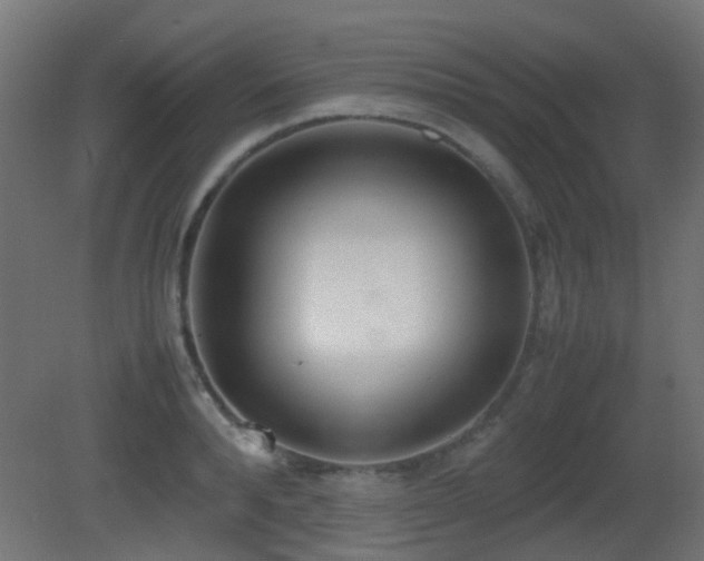 X0000081270896200701111303