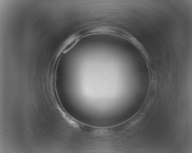 X0000081270909200701111303