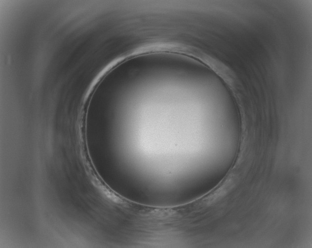 X0000081270912200701111303