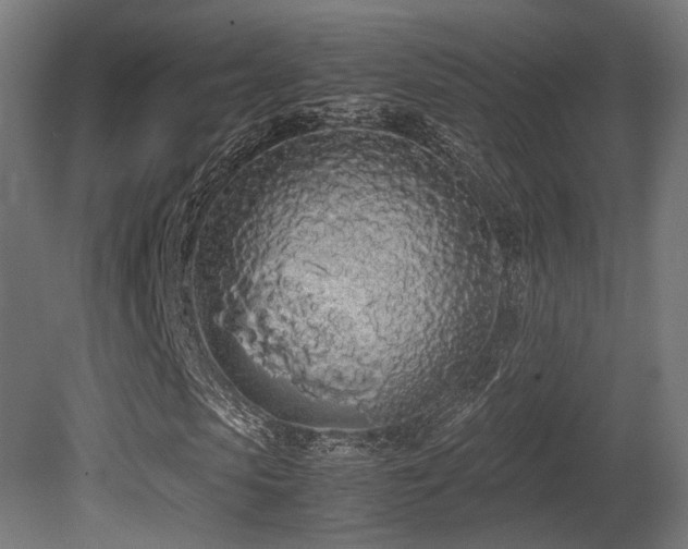 X0000081270913200701111302