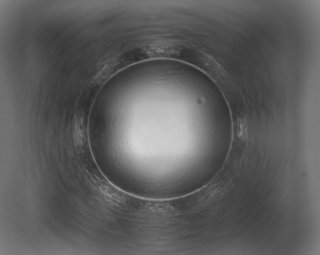 X0000081270915200701111302