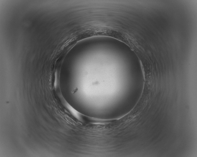 X0000081270916200701111302