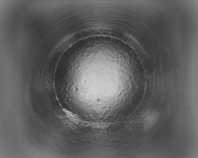 X0000081270919200701111302