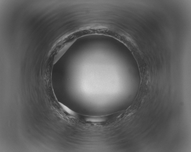X0000081270920200701111302
