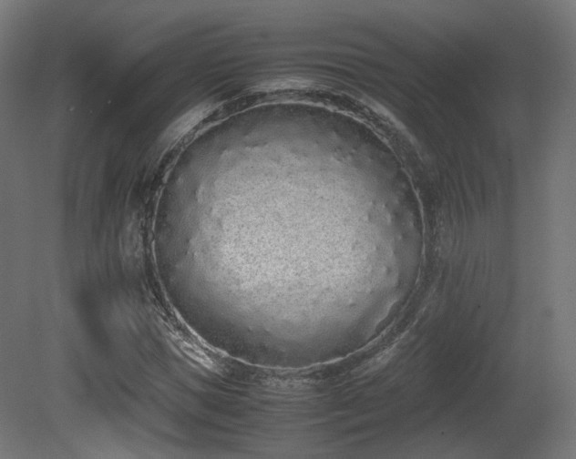 X0000081270921200701111302