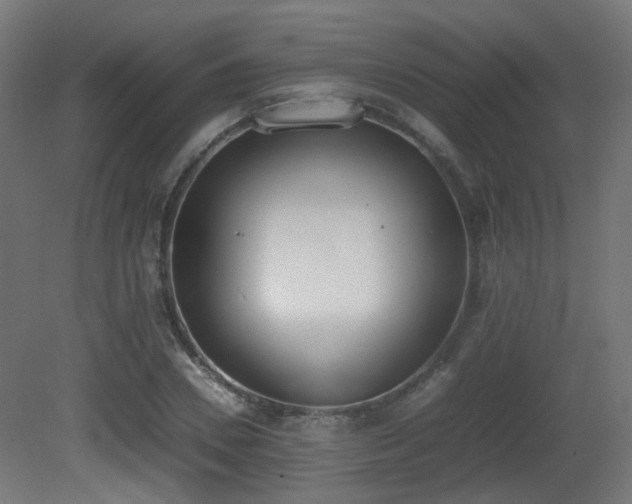 X0000081270930200701111302