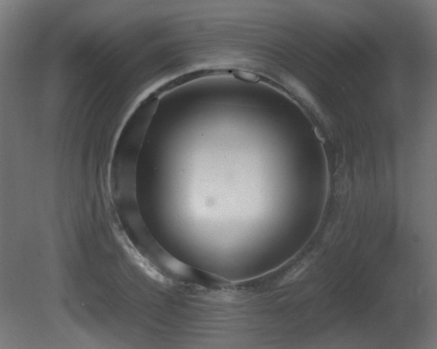 X0000081270932200701111302