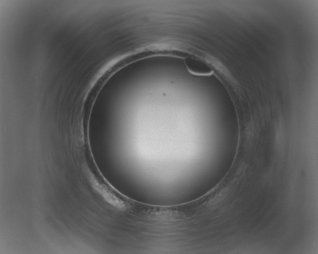 X0000081270934200701111302